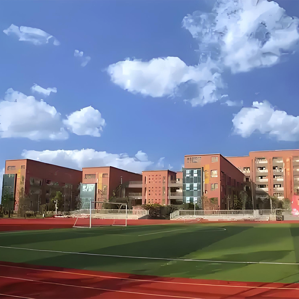 重庆龙塔实验学校-1.jpg